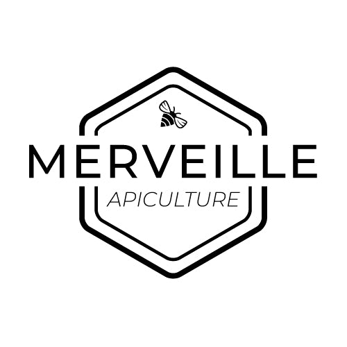 Merveille Apiculture